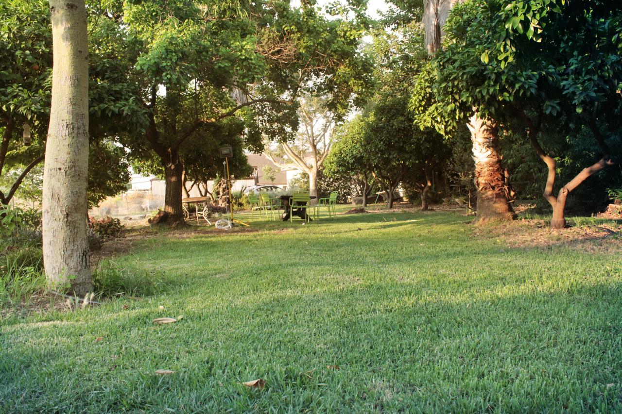 Villa Hosting Orchard Beit Hillel Exterior foto